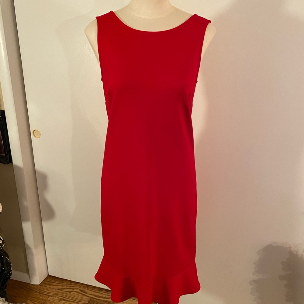 This is a stunning red dress. It has never been worn.